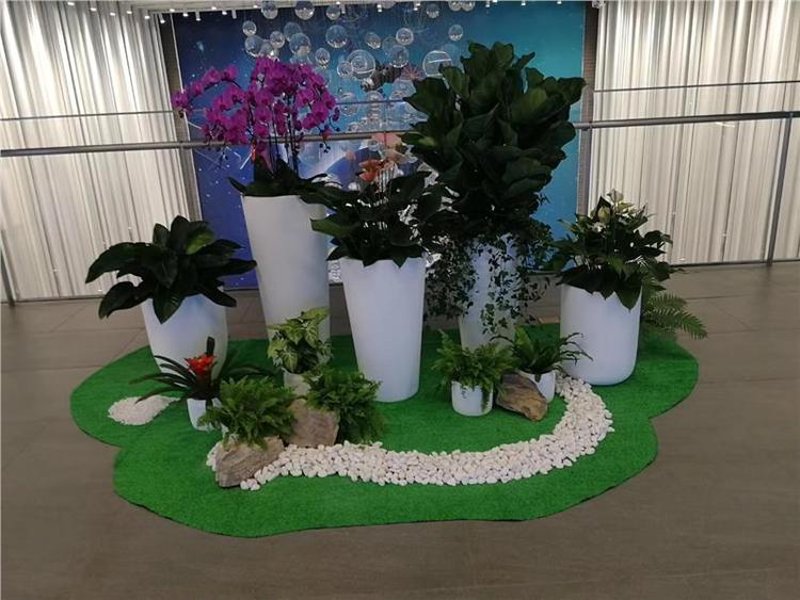 花卉租赁:让您的空间焕发新的生机