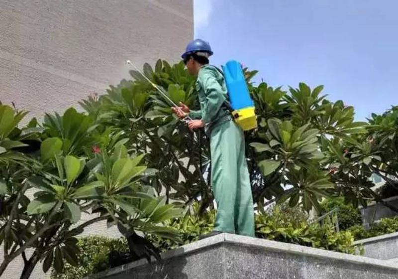 如何打造你的私人花园?——从零开始的庭院设计指南