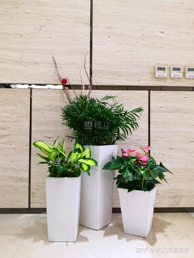 如何选择合适的杭州园艺公司？一份详细的指南